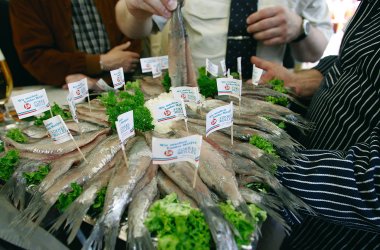  &copy; Tourist Information Emden