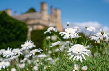  &copy; Lois GoBe - stock.adobe.com