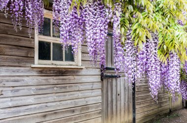  &copy; Pez Photography/Wirestock Creators - stock.adobe.com