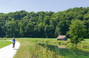  &copy; turtles2 - stock.adobe.com