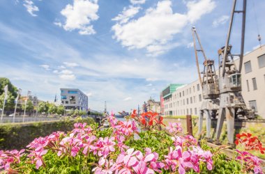  &copy; Melanie Stegemann