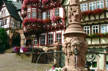  © TouristikService Odenwald-Bergstraße e.V.