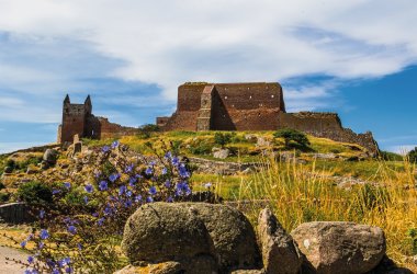  &copy; LHJ PHOTO - stock.adobe.com