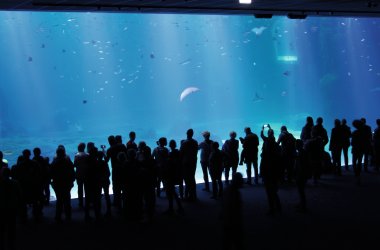  &copy; stephane - stock.adobe.com
