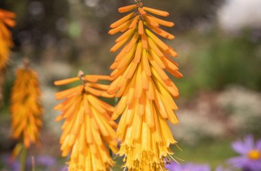  &copy; Stadt Leinefelde-Worbis