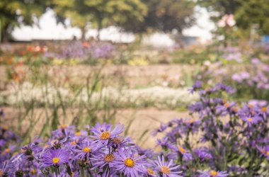  &copy; Stadt Leinefelde-Worbis