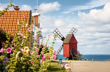  &copy; tomalv - stock.adobe.com