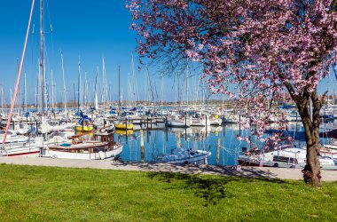  &copy; Gerhard1302 - stock.adobe.com