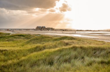  &copy; Jürgen Wackenhut - stock.adobe.com