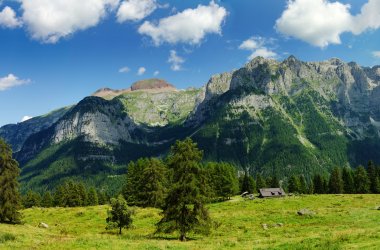  &copy; pacolinus - stock.adobe.com