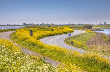  &copy; creativenature.nl - stock.adobe.com