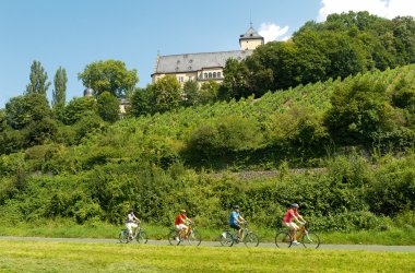  &copy; Fränkisches Weinland Tourismus/Schweinfurt 360°/Andreas Hub
