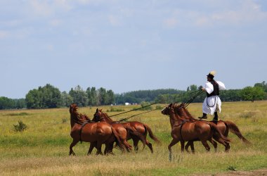  © oroszgy-stock.adobe.com