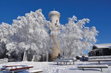  &copy; Henry Czauderna - stock.adobe.com