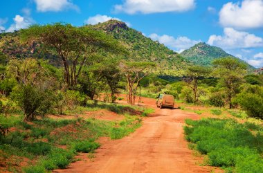  &copy; Photocreo Bednarek - stock.adobe.com