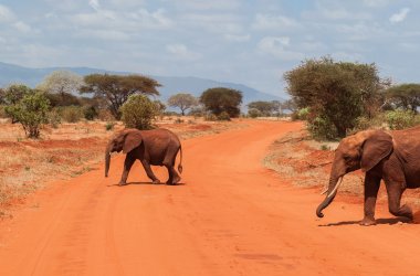  &copy; forcdan - stock.adobe.com