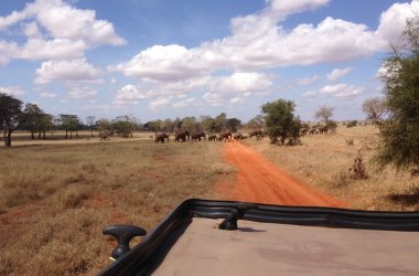  &copy; Jennifer - stock.adobe.com