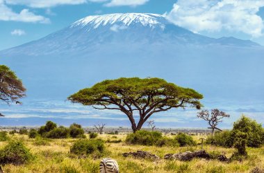  &copy; Kushnirov Avraham - stock.adobe.com