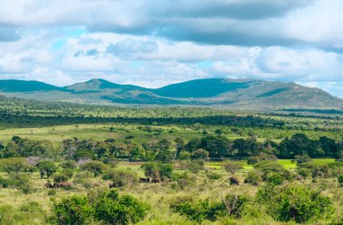  &copy; Wirestock Creators - stock.adobe.com