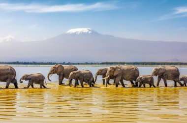  &copy; Gunter - stock.adobe.com