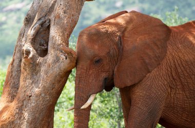  &copy; Sandra - stock.adobe.com