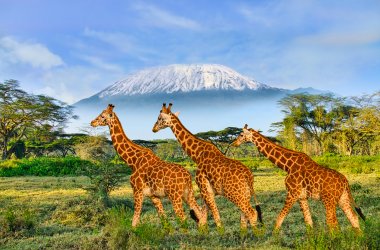  &copy; Mit *HPS* auf Reisen - stock.adobe.com