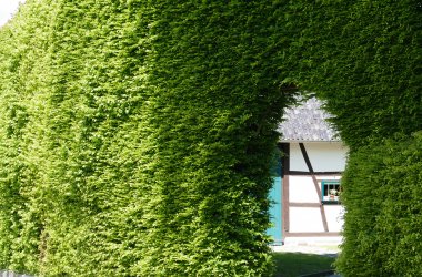  &copy; SiRo - stock.adobe.com