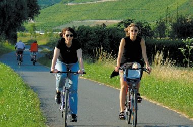  © M. Westendorf/CTW Würzburg