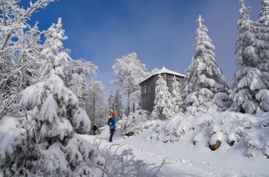  &copy; Henry Czauderna - stock.adobe.com
