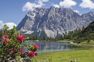  © Christa Eder-fotolia.com