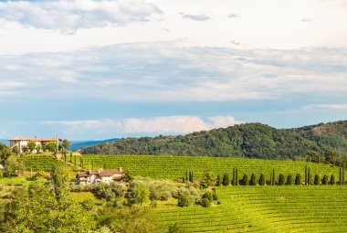 Weinbauregion Collio © zakaz86 - stock.adobe.com